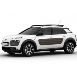 C4 CACTUS (3)