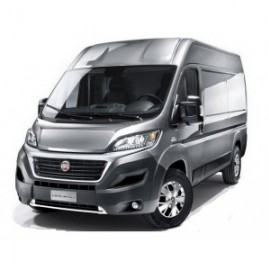 Ducato III (4)