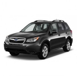 FORESTER IV (0)